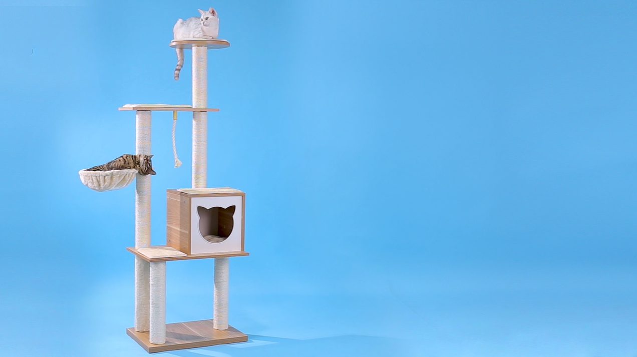 Load video: cat scratching post